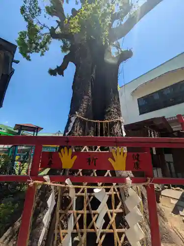 五方山熊野神社(東京都)