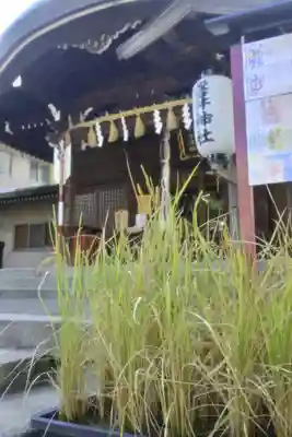 磐井神社の本殿・本堂