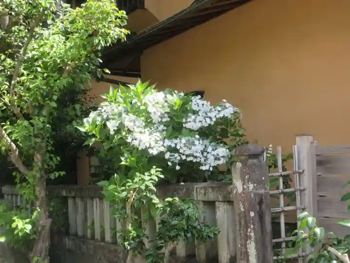 五所神社(神奈川県)