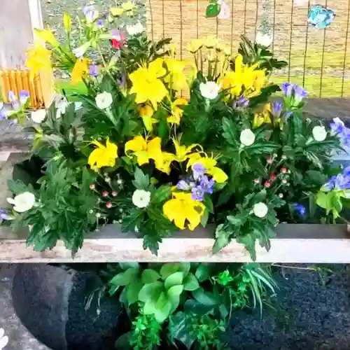 彌彦神社　(伊夜日子神社)の手水舎