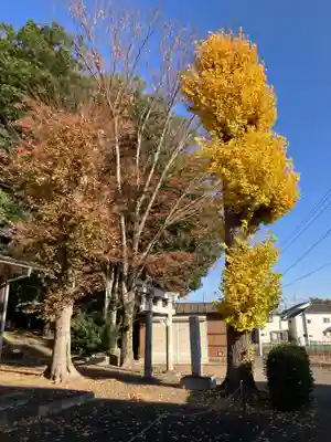 人見稲荷神社(東京都)