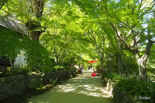 国宝　長寿寺(滋賀県)