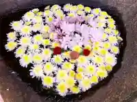 真言宗 善通寺派 薬王寺(香川県)