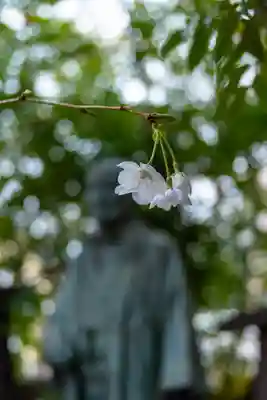 熊野神社(京都府)
