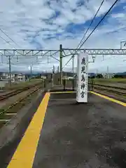 鹿児島神宮(鹿児島県)