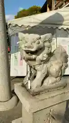 沖田神社の狛犬