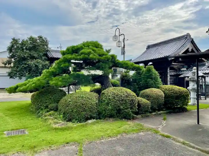 開雲寺(栃木県)