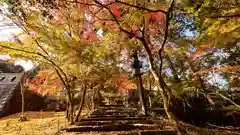 正法寺(京都府)