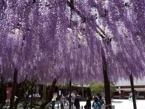 笠間稲荷神社の庭園