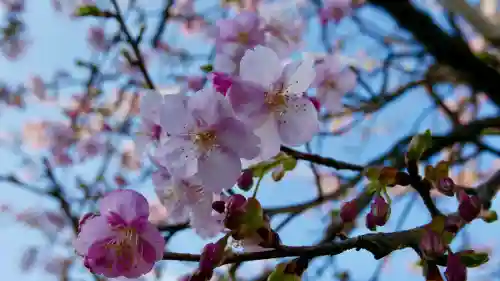 武州白子熊野神社の{uncategorized: "未分類", other: "その他", undefined: "問題あり", building: "その他建物", grave: "お墓", sacred_gate: "鳥居", guardian: "狛犬", statue: "像", buddha: "仏像", history: "歴史", nature: "自然", garden: "庭園", animal: "動物", pagoda: "塔", temizu: "手水舎", mountain_gate: "山門・神門", sanctuary: "本殿・本堂", subordinate: "末社・摂社", art: "芸術", scenery: "景色", jizo: "地蔵", ema: "絵馬", goshuin: "御朱印", omikuji: "おみくじ", items: "授与品その他", amulet: "お守り", goshuincho: "御朱印帳", eats: "食事", festival: "お祭り", votive_dance: "神楽", shichigosan: "七五三参", wedding: "結婚式", experience: "体験その他", initially: "初詣", around: "周辺", anti_infection: "感染症対策"}