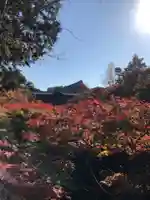 東福禅寺(東福寺)の自然