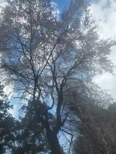 下野國一社八幡宮(栃木県)