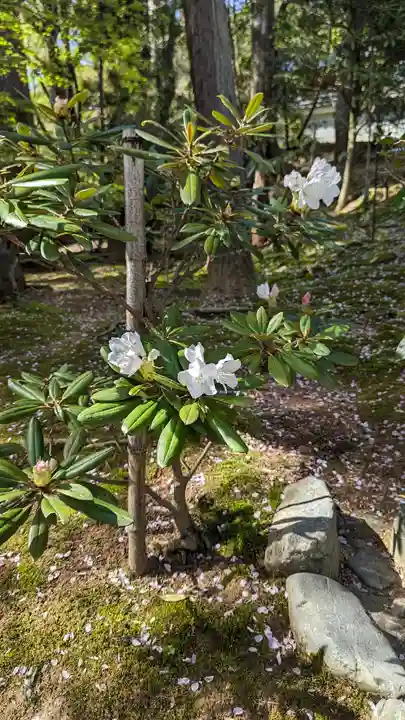 龍安寺(京都府)
