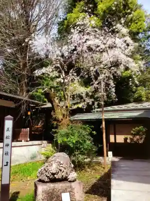 乃木神社(東京都)