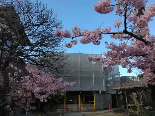 龍王院(東京都)