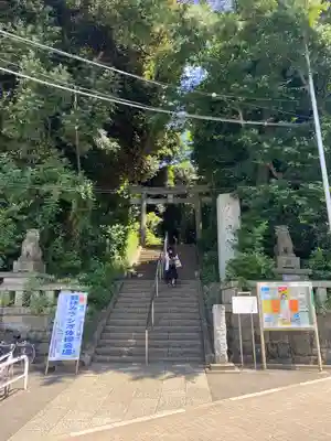 代々木八幡宮の鳥居