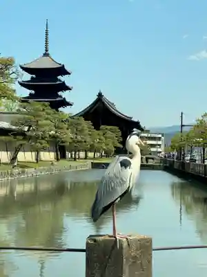 六孫王神社(京都府)