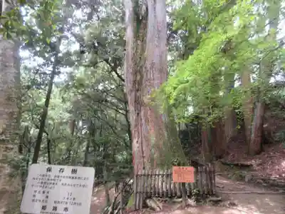 圓教寺(兵庫県)