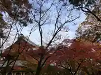 南禅院(京都府)