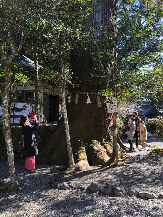 丹生川上神社(中社)(奈良県)