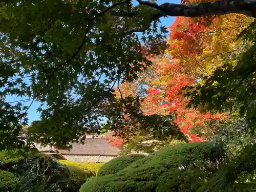 詩仙堂（丈山寺）(京都府)
