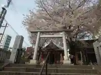 浅草富士浅間神社の鳥居