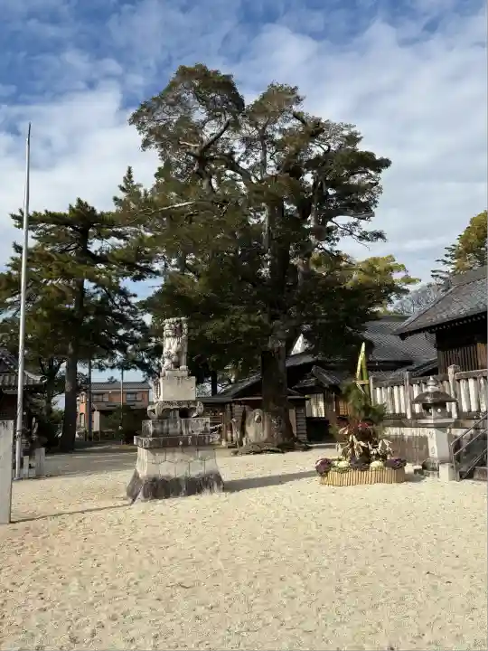 神明神社(高棚神明神社)(愛知県)
