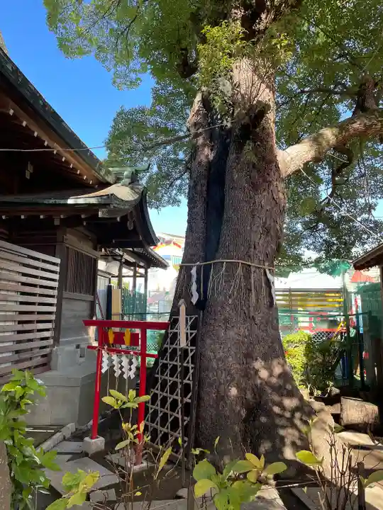 五方山熊野神社のその他建物