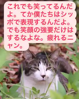 専念寺(大阪府)