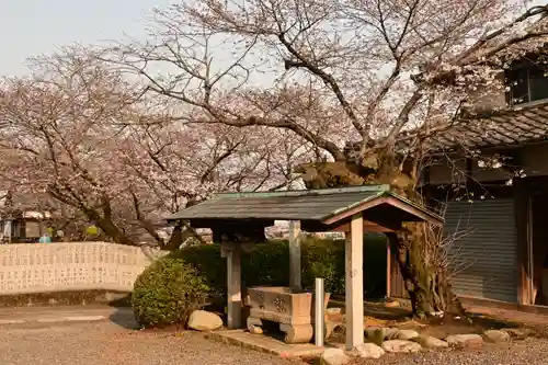実報寺(愛媛県)
