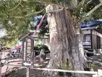 済広寺(静岡県)