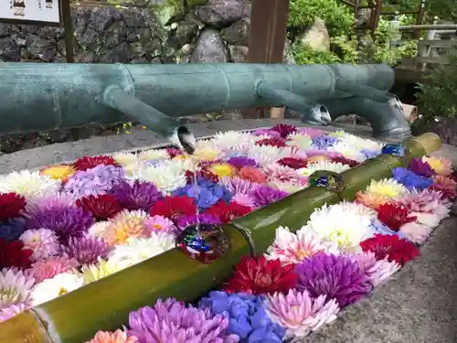 岡寺（龍蓋寺）の手水舎