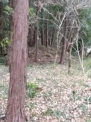 市場神社(埼玉県)