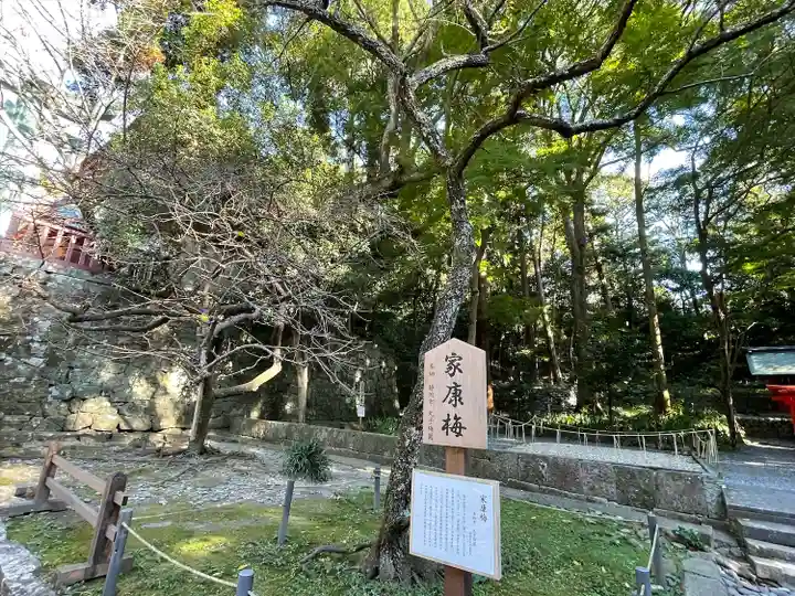 久能山東照宮(静岡県)