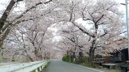 賀茂別雷神社（上賀茂神社）の自然