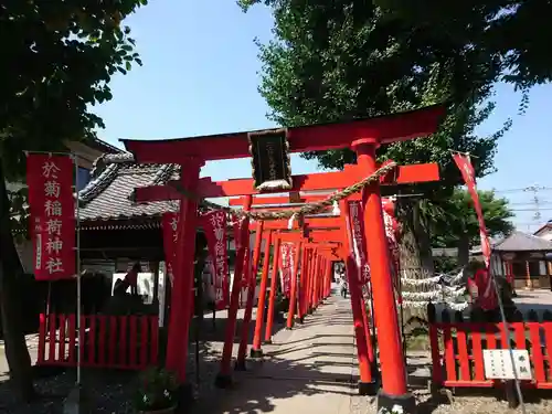 於菊稲荷神社の鳥居