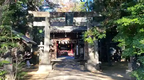 赤坂氷川神社(東京都)