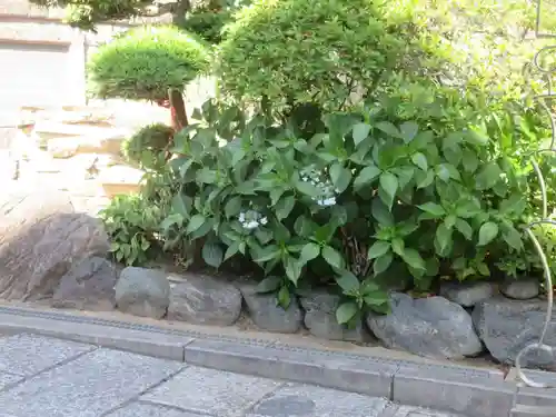 勝専寺(東京都)