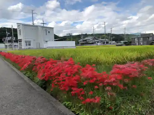 新屋坐天照御魂神社(大阪府)
