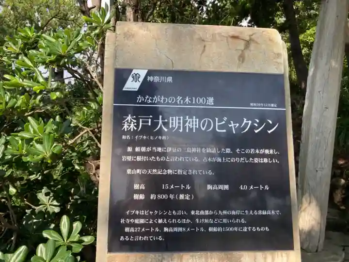 森戸大明神(森戸神社)(神奈川県)