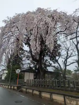 長宮神社(茨城県)
