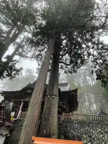 三峯神社(埼玉県)