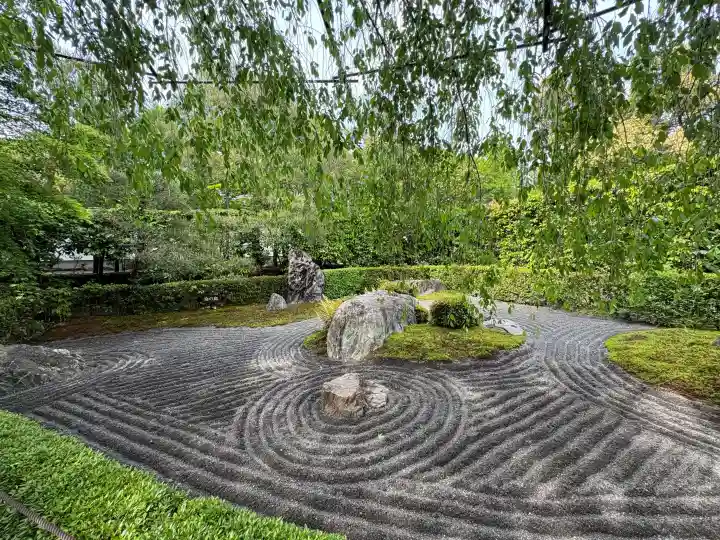 退蔵院の{uncategorized: "未分類", other: "その他", undefined: "問題あり", building: "その他建物", grave: "お墓", sacred_gate: "鳥居", guardian: "狛犬", statue: "像", buddha: "仏像", history: "歴史", nature: "自然", garden: "庭園", animal: "動物", pagoda: "塔", temizu: "手水舎", mountain_gate: "山門・神門", sanctuary: "本殿・本堂", subordinate: "末社・摂社", art: "芸術", scenery: "景色", jizo: "地蔵", ema: "絵馬", goshuin: "御朱印", omikuji: "おみくじ", items: "授与品その他", amulet: "お守り", goshuincho: "御朱印帳", eats: "食事", festival: "お祭り", votive_dance: "神楽", shichigosan: "七五三参", wedding: "結婚式", experience: "体験その他", initially: "初詣", around: "周辺", anti_infection: "感染症対策"}