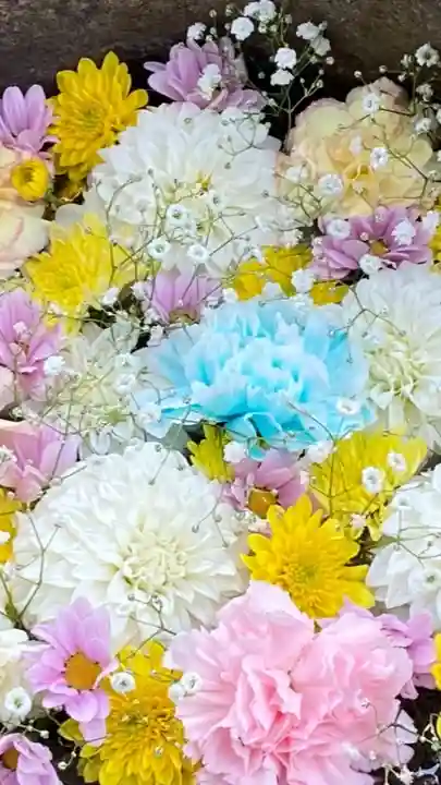 岡部春日神社~👹鬼門よけの🌺花咲く🌺やしろ~(福島県)