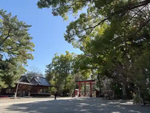 武蔵一宮氷川神社の{uncategorized: "未分類", other: "その他", undefined: "問題あり", building: "その他建物", grave: "お墓", sacred_gate: "鳥居", guardian: "狛犬", statue: "像", buddha: "仏像", history: "歴史", nature: "自然", garden: "庭園", animal: "動物", pagoda: "塔", temizu: "手水舎", mountain_gate: "山門・神門", sanctuary: "本殿・本堂", subordinate: "末社・摂社", art: "芸術", scenery: "景色", jizo: "地蔵", ema: "絵馬", goshuin: "御朱印", omikuji: "おみくじ", items: "授与品その他", amulet: "お守り", goshuincho: "御朱印帳", eats: "食事", festival: "お祭り", votive_dance: "神楽", shichigosan: "七五三参", wedding: "結婚式", experience: "体験その他", initially: "初詣", around: "周辺", anti_infection: "感染症対策"}