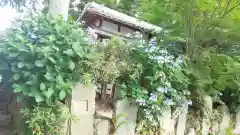 稗田野神社(薭田野神社)の自然