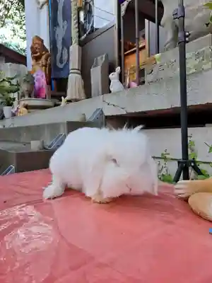 快神社(徳島県)
