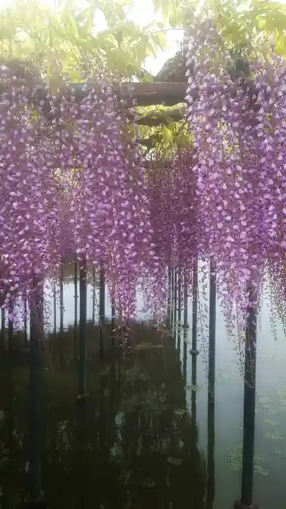 秋葉神社(愛知県)