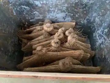 瘡大神(千葉県)