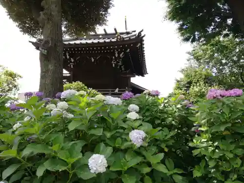 白山神社のその他建物